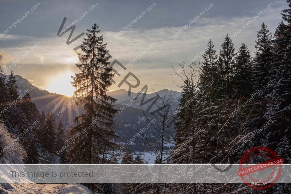 Landscape & Nature